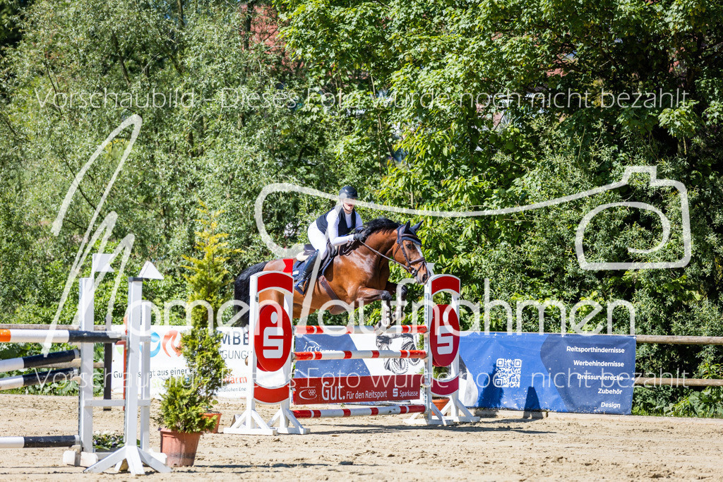 Donop24-M-Spr-055 | MomenTaufnahmen Pferdesportfotos