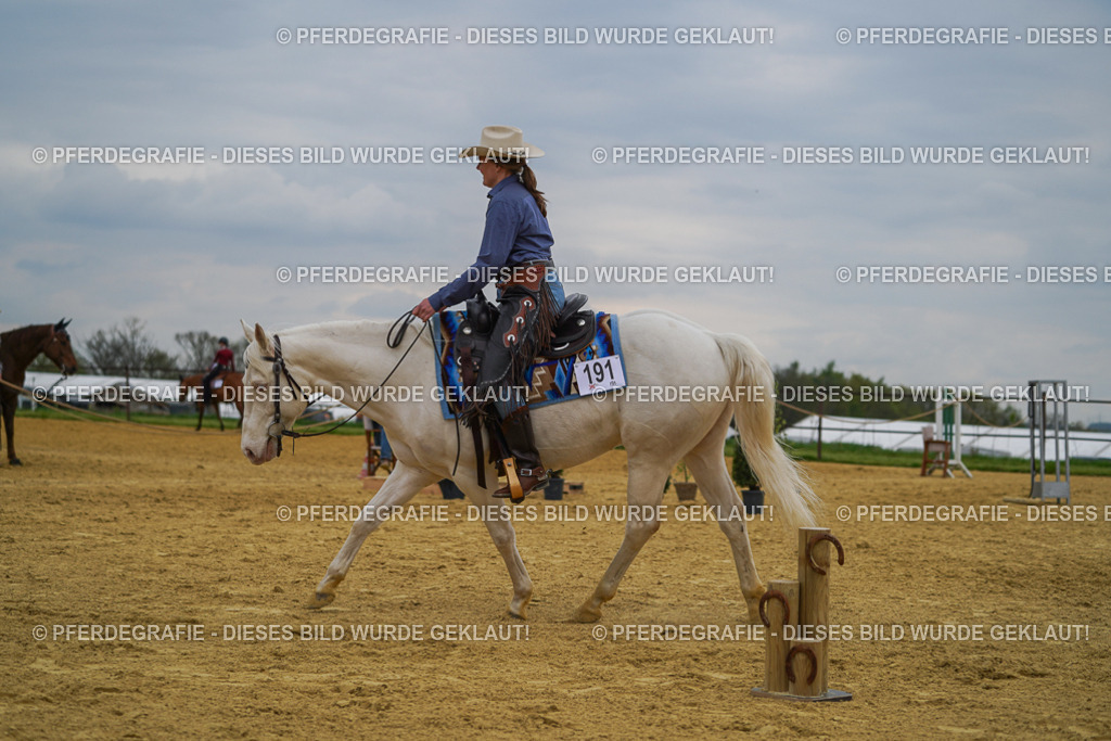 DSC07466 | Pferdegrafie