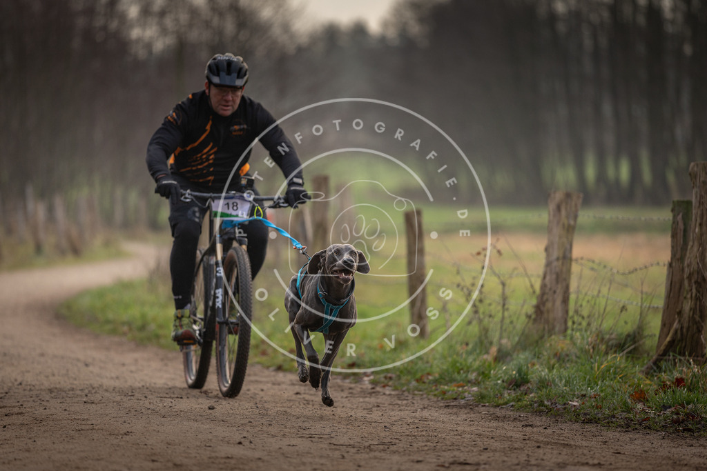 Pfotenfotografie_DV3A1923 | Hundefotografie, Tierfotograf, Pfotenfotografie, Fotoshooting Hund, Hunde Portrait, Hundesport, Hundeportraits, Heideshooting, Hunde, Sportfotograf, Hundefotograf, Turnierhundsport, THS,  - Realisiert mit Pictrs.com