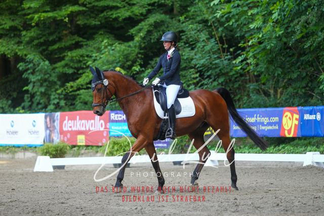 DKP43071 | Turniersportfotografie; Pferdefotografie; Dressurfotografie