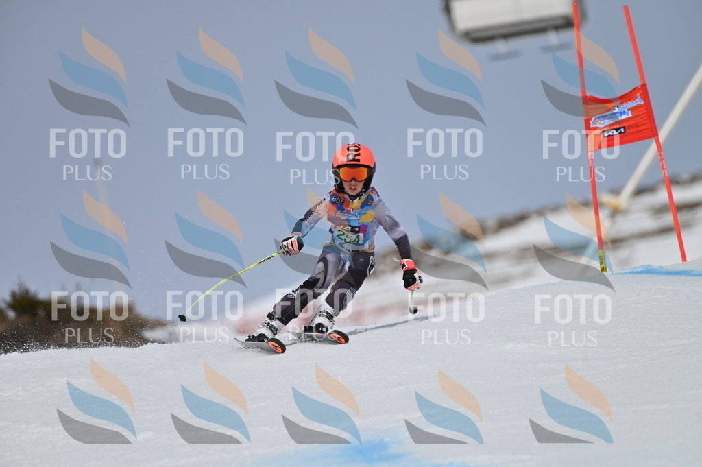 BGV_5028 | holidayphoto