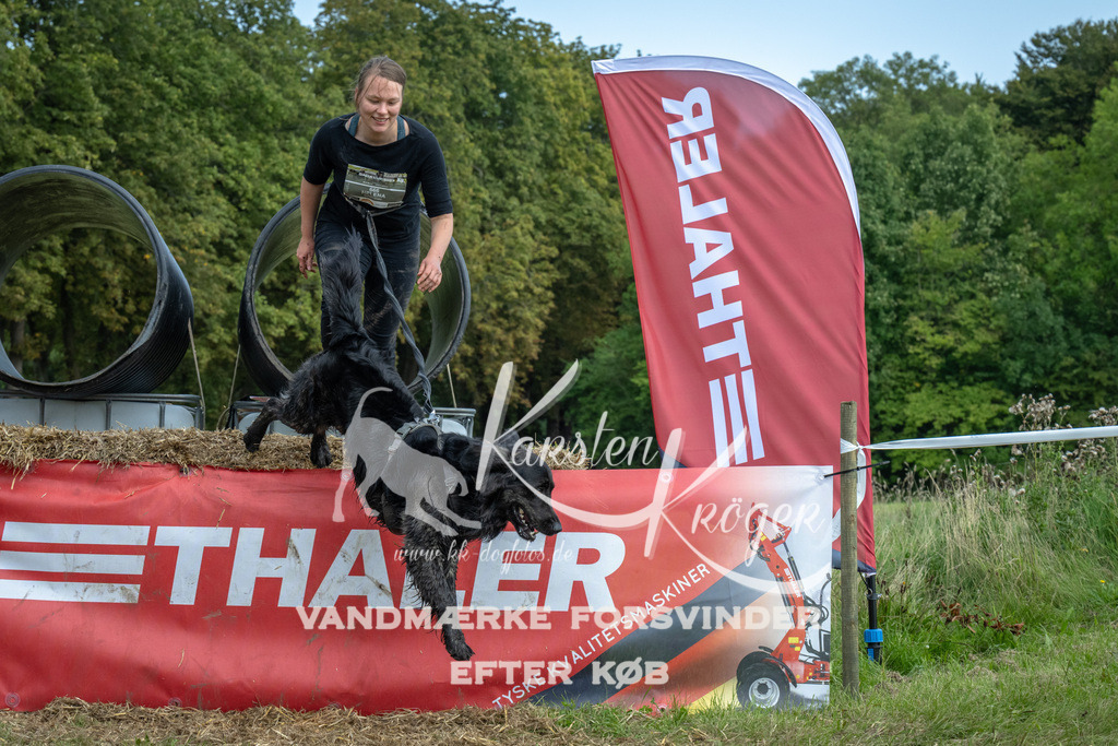 1347_ZZ94649 | kk-dogfotos