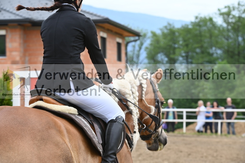 DSC_7920 | equestrian-live-com