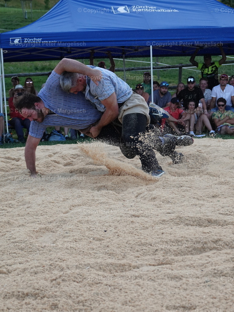 DSC05211 | Schwingen - Realisiert mit Pictrs.com