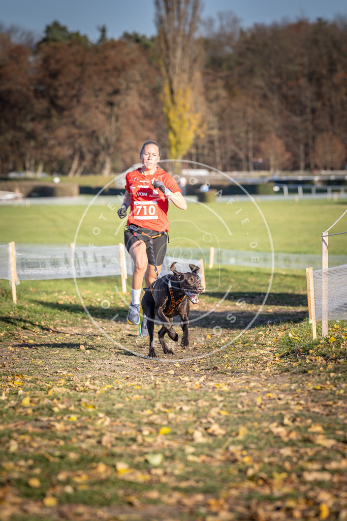 CaniXpix_DV3A1602 | Hundefotografie, Tierfotograf, Pfotenfotografie, Fotoshooting Hund, Hunde Portrait, Hundesport, Hundeportraits, Heideshooting, Hunde, Sportfotograf, Hundefotograf, Turnierhundsport, THS,  - Realisiert mit Pictrs.com