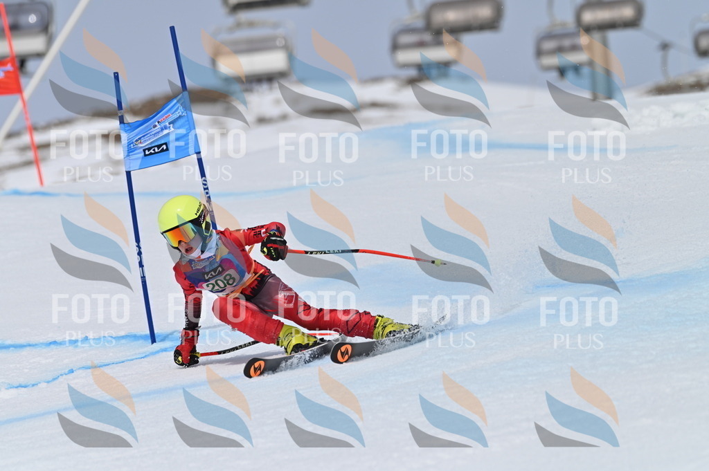 BGV_4018 | holidayphoto