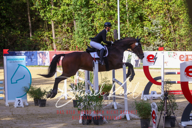 DKP42453 | Deine Turnierfotos vom Reitturnier online kaufen: Dressur, Springen & Siegerehrung. Professionelle Pferdefotografie aus dem Rheinland – als Download & Print.Alternative: Turnierfotograf für den Pferdesport: Finde deine Fotos von Dressur- und Springturnier
