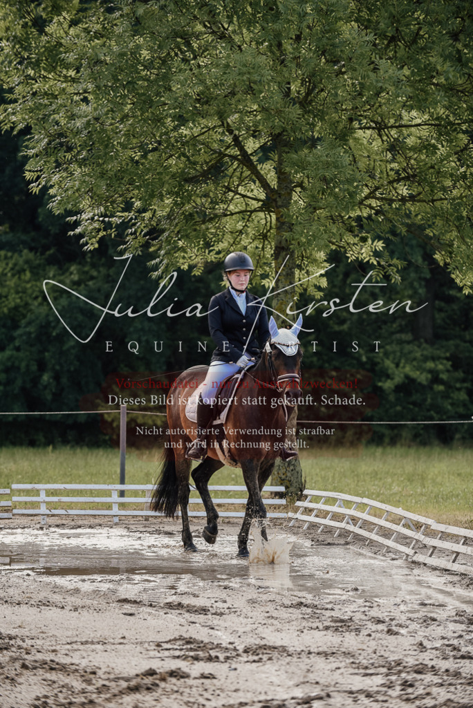 DSC_8119 | Pferde- und Turnierfotografie in Westsachsen. Pferdeportraits, Auftragszeichnungen und intuitive Kunst.