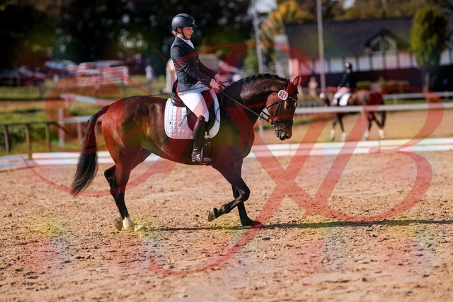 2026_10_03_Siefer-Hof_125750_Z81_46816822 | Professionelle Reitsport-, Turnier- und Eventfotografie von Robert Broda. Galerien mit ausgewählten und bearbeiteten Bildern direkt online ansehen und bestellen.