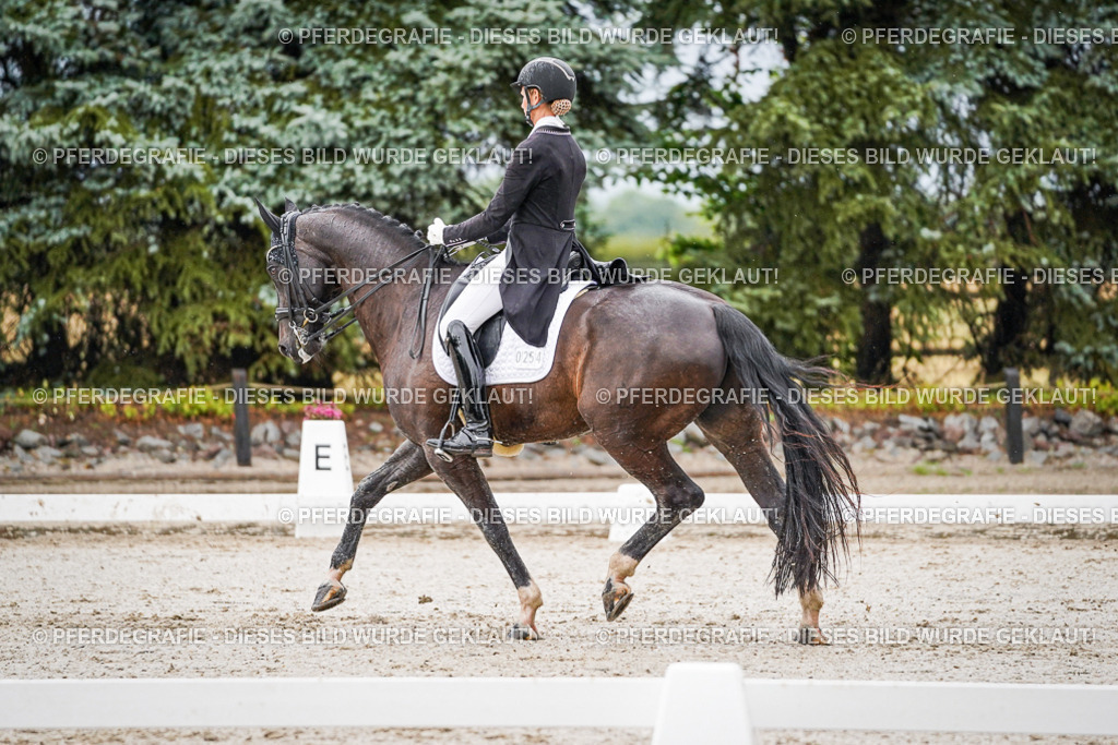 DSC08841 | Pferdegrafie