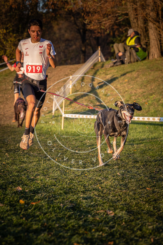 CaniXpix_0L8A1561 | Hundefotografie, Tierfotograf, Pfotenfotografie, Fotoshooting Hund, Hunde Portrait, Hundesport, Hundeportraits, Heideshooting, Hunde, Sportfotograf, Hundefotograf, Turnierhundsport, THS,  - Realisiert mit Pictrs.com