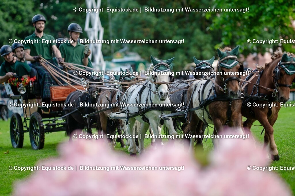 20250606_Lange-Pferdenacht_0112 | Foto: Thomas Hartig