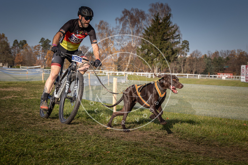 CaniXpix_0L8A7698 | Hundefotografie, Tierfotograf, Pfotenfotografie, Fotoshooting Hund, Hunde Portrait, Hundesport, Hundeportraits, Heideshooting, Hunde, Sportfotograf, Hundefotograf, Turnierhundsport, THS,  - Realisiert mit Pictrs.com