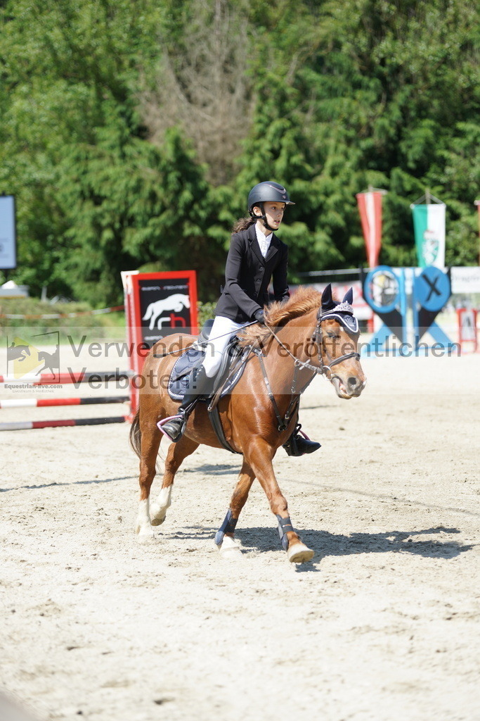 DSC06286 | equestrian-live-com