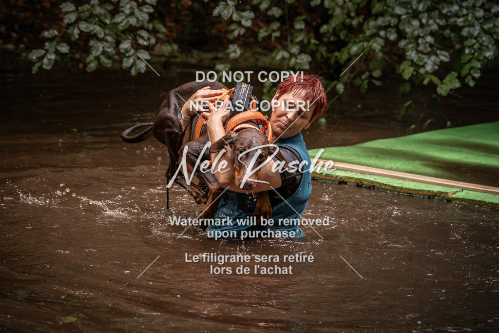 nelerasche_Wingst_Sa1330-1400_70 | nelerasche