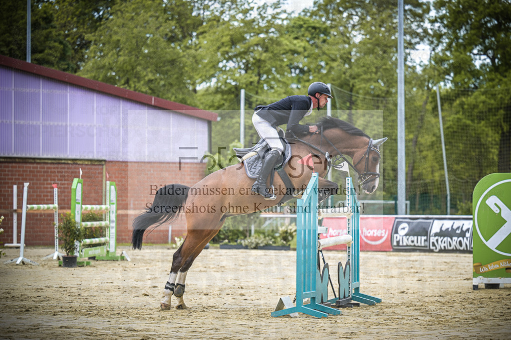 DOS_9530 | Entdecke hochwertige Reitturnierfotos von Foto Oger. Professionell, emotional und authentisch – jetzt Lieblingsmomente im Shop bestellen.Deutschlandweite Turnierfotografie. - Realized with Pictrs.com