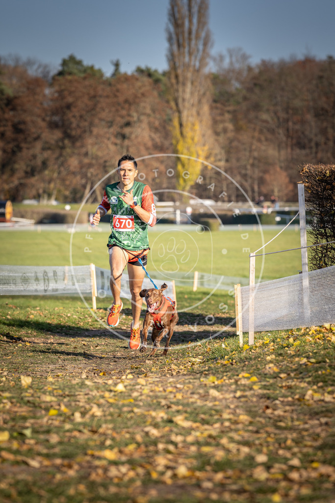 CaniXpix_DV3A0822 | Hundefotografie, Tierfotograf, Pfotenfotografie, Fotoshooting Hund, Hunde Portrait, Hundesport, Hundeportraits, Heideshooting, Hunde, Sportfotograf, Hundefotograf, Turnierhundsport, THS,  - Realisiert mit Pictrs.com