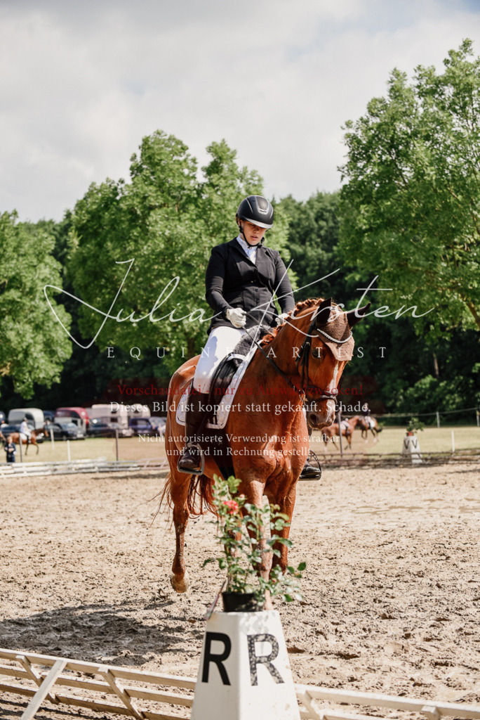 DSC_0309 | Pferde- und Turnierfotografie in Westsachsen. Pferdeportraits, Auftragszeichnungen und intuitive Kunst.