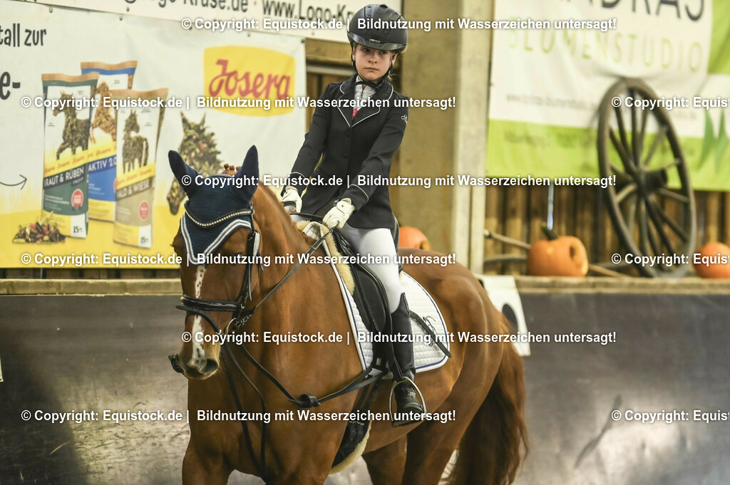 20231029_02_Reiter-WB_Schritt-Trab_Abteilung-01_0009 | Foto: Thomas Hartig
