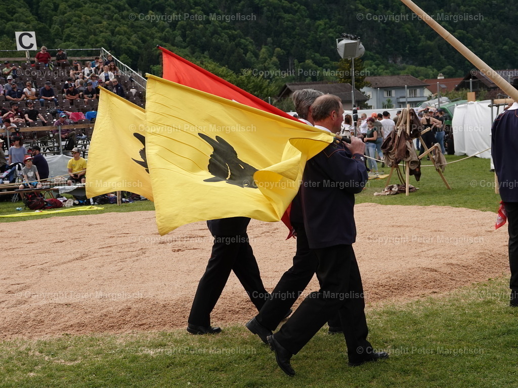 DSC07472 | Schwingen - Realisiert mit Pictrs.com