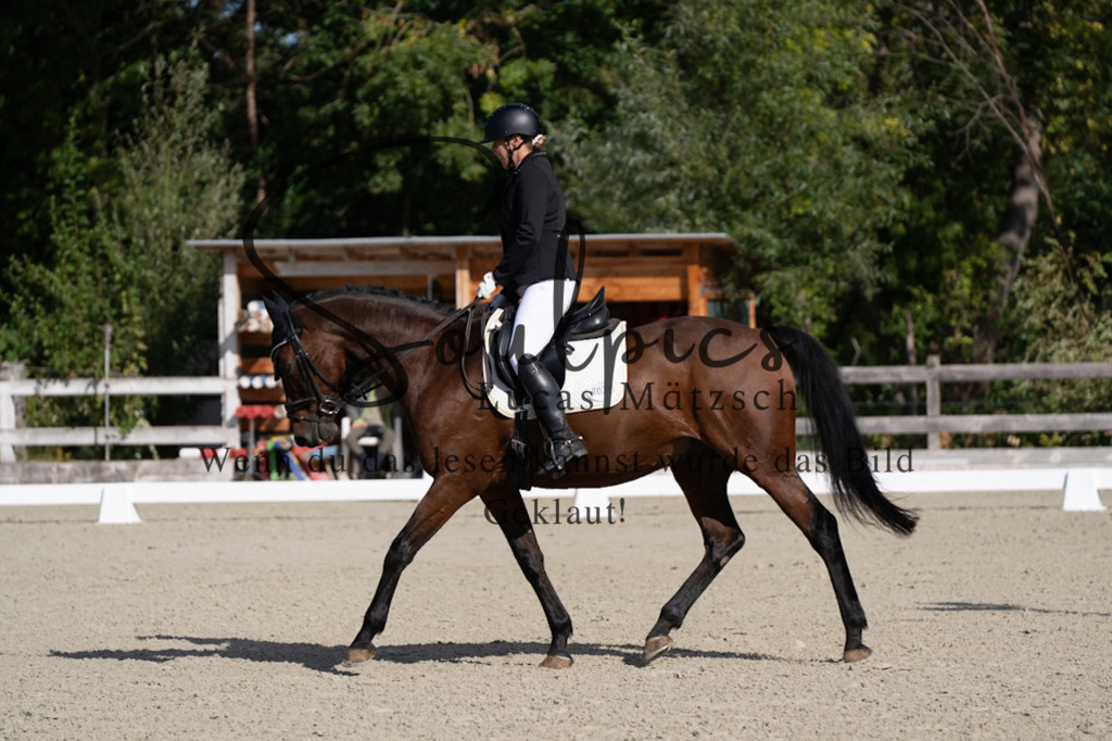 A7V06928 | Turnier/Reitfotograf