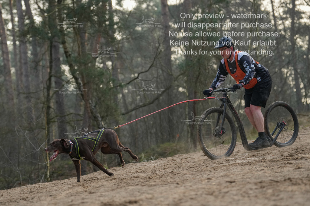 Scooter1-55 | stephaniefillaphotographie - Realisiert mit Pictrs.com