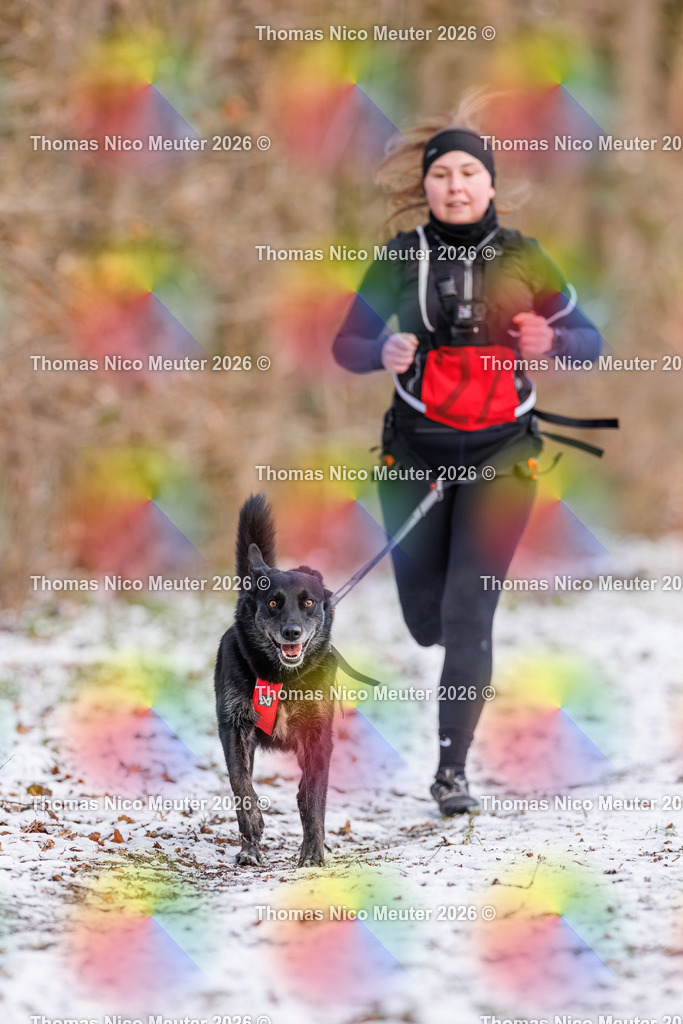 Thomas_Nico_Meuter(C)_223A8498 | Bild von Thomas Nico Meuter - Realisiert mit Pictrs.com