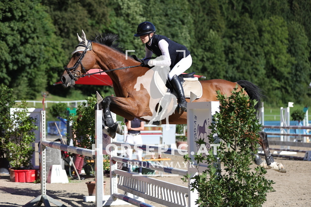 0P6A7237 | Willkommen bei Brunnmayr - Design & Fotografie – Ihrem Spezialisten für Reitturniere und Pferdeveranstaltungen in Oberösterreich, Salzburg und Bayern! Seit über 17 Jahren sind wir leidenschaftlich dabei.