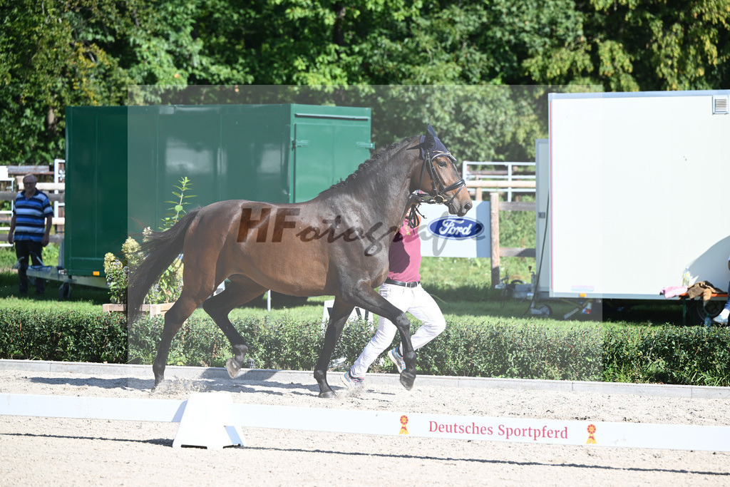 Kat-Nr. 11 Blossom S_ZG Sautter_36230701 | hf-fotografie - Realisiert mit Pictrs.com
