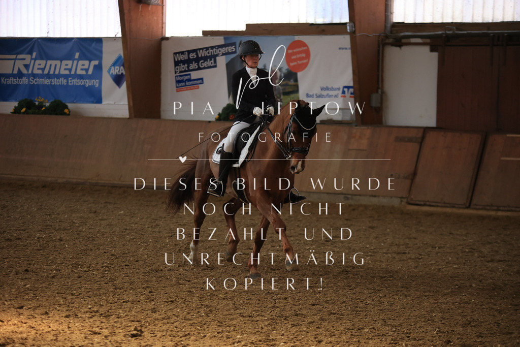 IMGT3400 | pl-fotografie