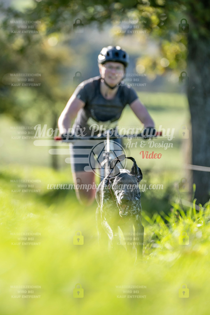 MompixPhotography_20TSB_E3_DS1-35 | PayLife