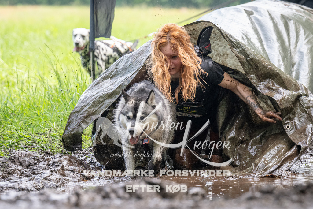 1138_ZZ93428 | kk-dogfotos
