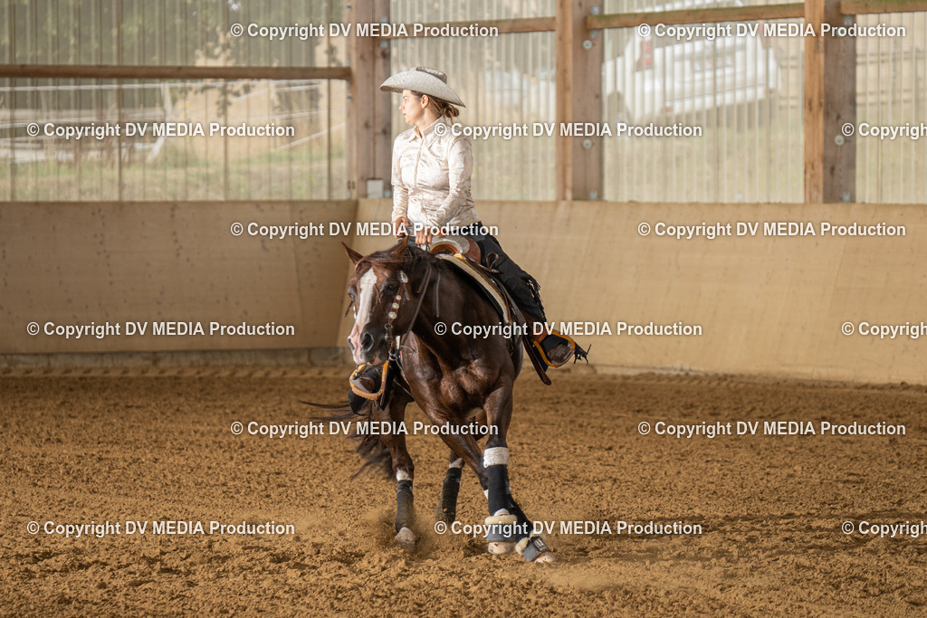 LAU01552 | dv-media-shop - Realisiert mit Pictrs.com