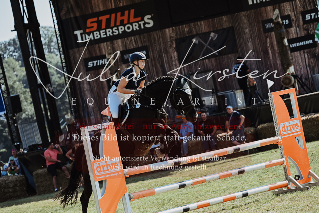 DSC_5992 | Pferde- und Turnierfotografie in Westsachsen. Pferdeportraits, Auftragszeichnungen und intuitive Kunst.