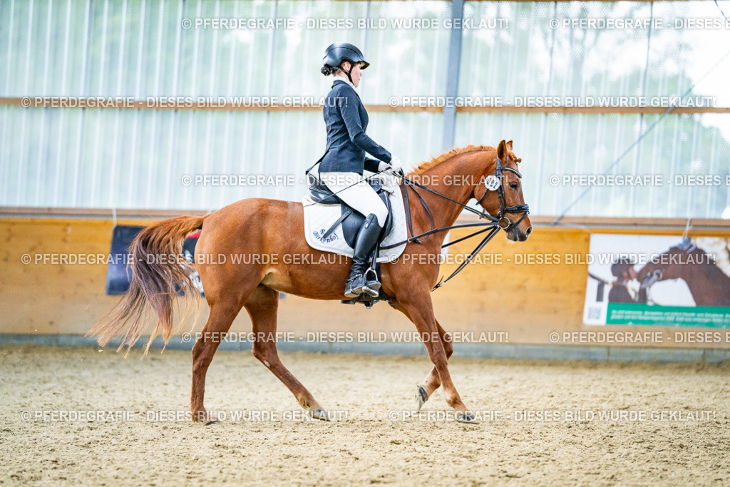 DSC03977 | Pferdegrafie