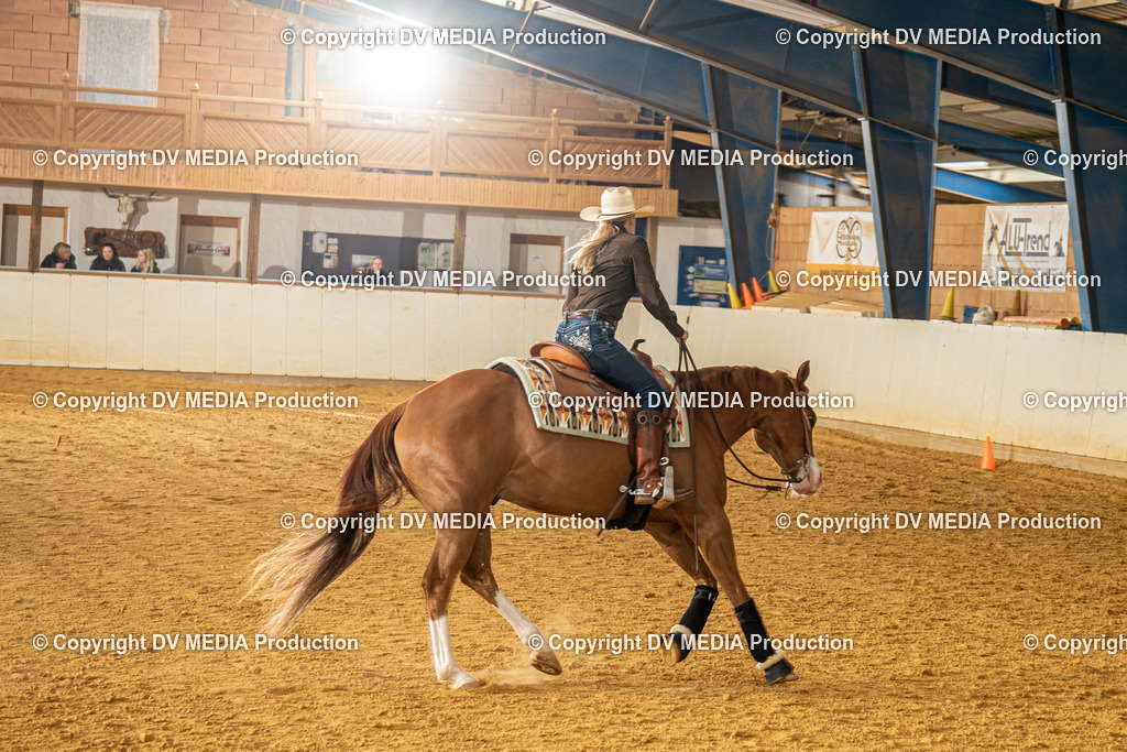 MIT00646 | dv-media-shop - Realisiert mit Pictrs.com