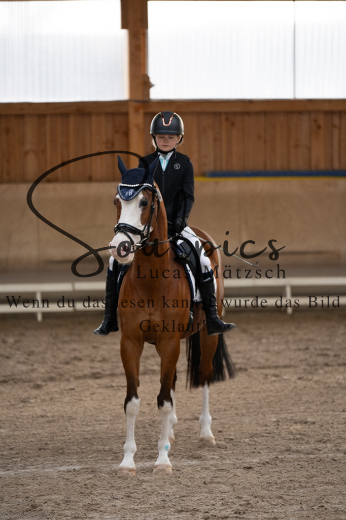 A7V09285 | Pferdefotograf