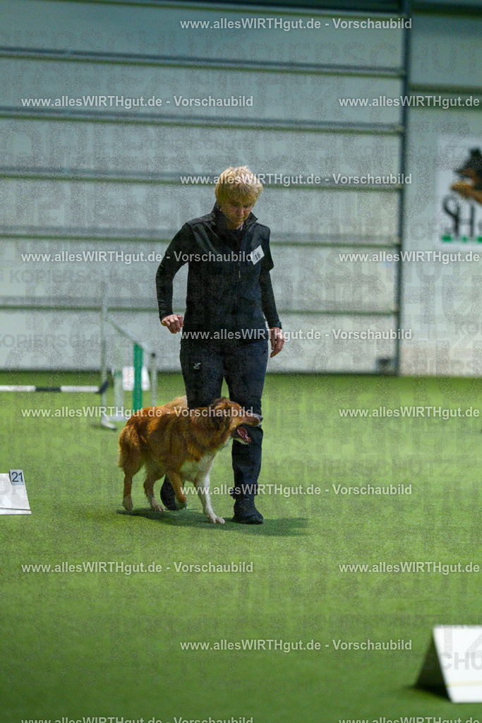 7R505504 | Professionelle Tierfotografie in Mönchengladbach von Daniel Wirth (allesWIRTHgut). Liebevolle & natürliche Bilder von Hunden & Katzen für unvergessliche Erinnerungen.