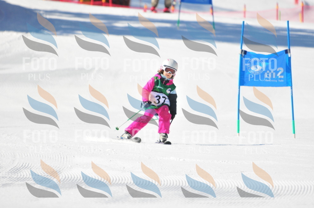 C2694 | holidayphoto