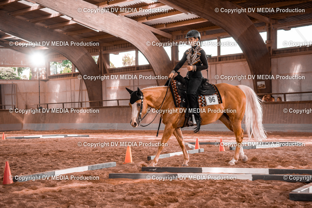 NE200247 | dv-media-shop - Realisiert mit Pictrs.com