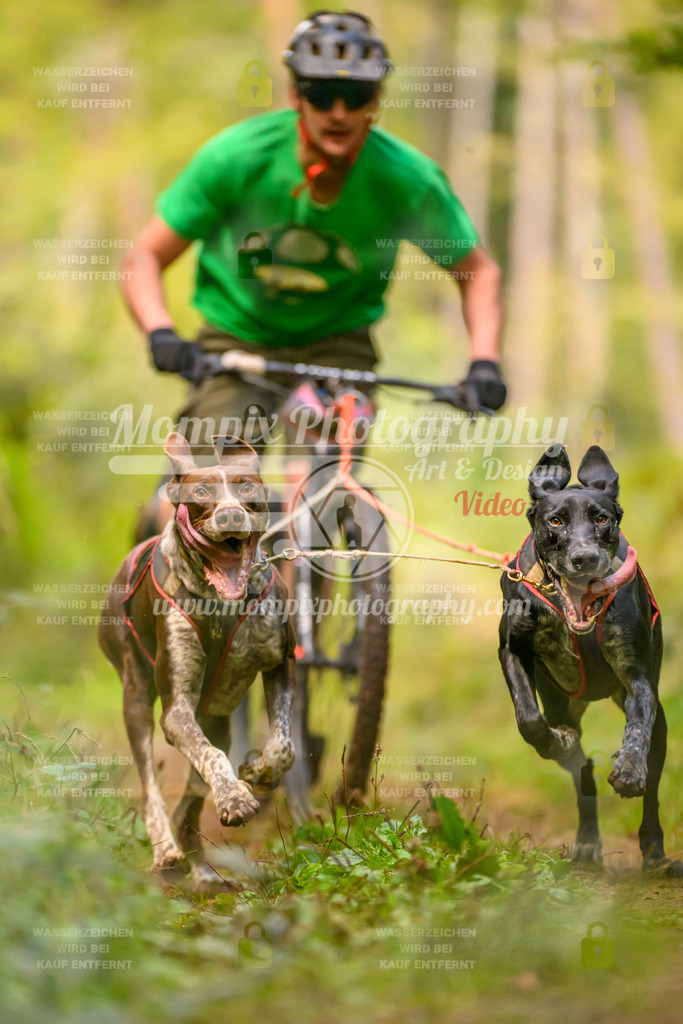 MompixPhotography_Yens2025_B2-46 | PayLife