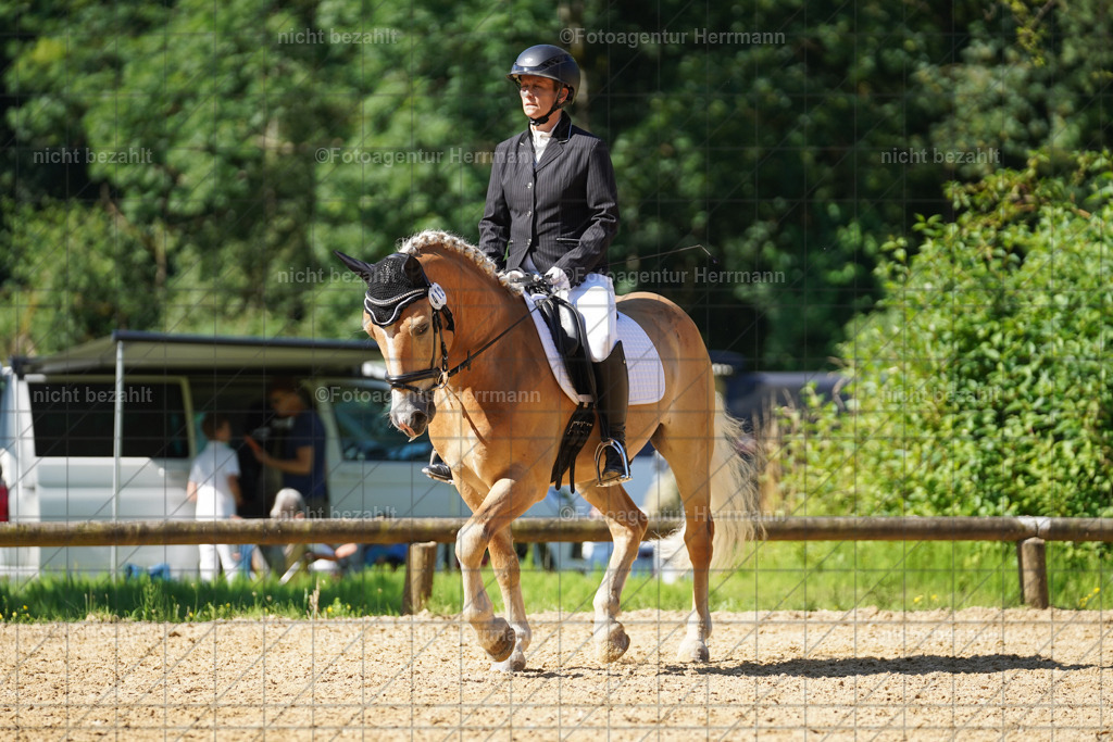 20240706-FAH04777 | Grafing Turnierfotos, Reitverein Ebersberg, Turnierfotografen Bayern, reitsportbilder, Pferdefotograf, reitsportfotograf, Sportbilder, Reitsportfotografie, Fotoagentur Herrmann, Turnierfotograf