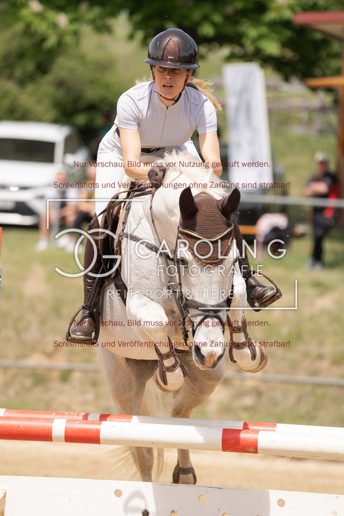 DSC06561 | Springturnier_Ehingen_Mai_2026, Dr._med._vet._Christika_dudik, Atlantis_191