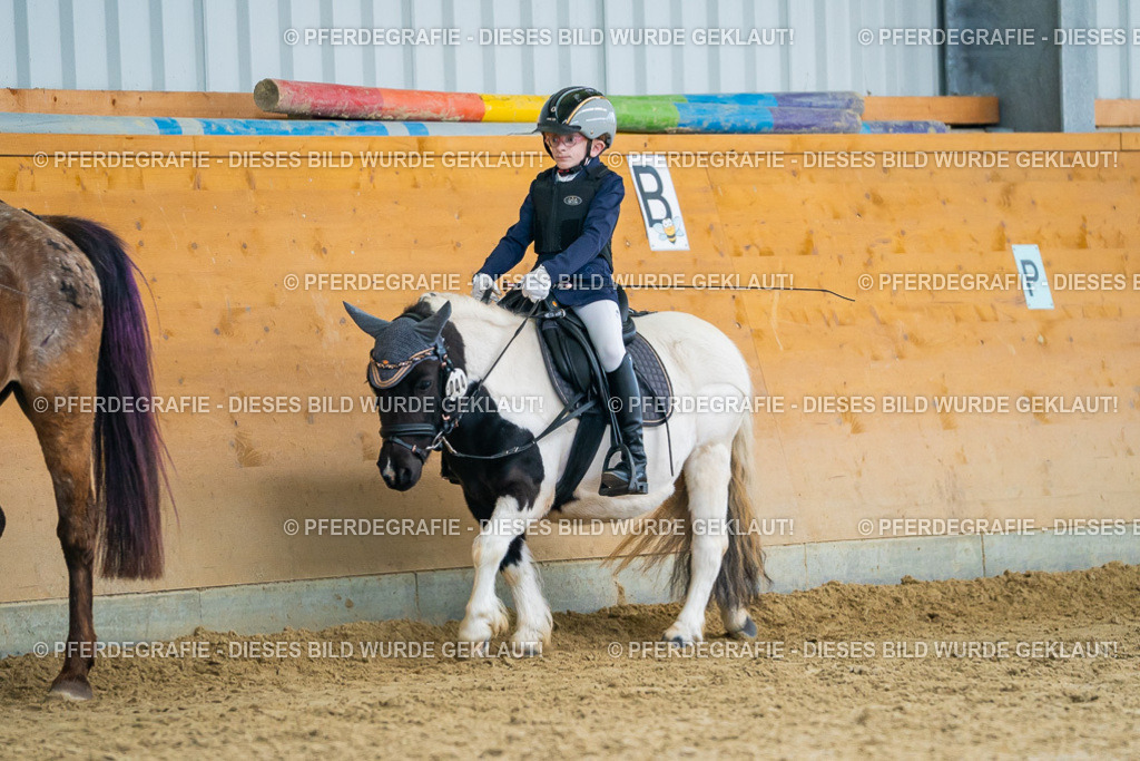 DSC01400 | Pferdegrafie