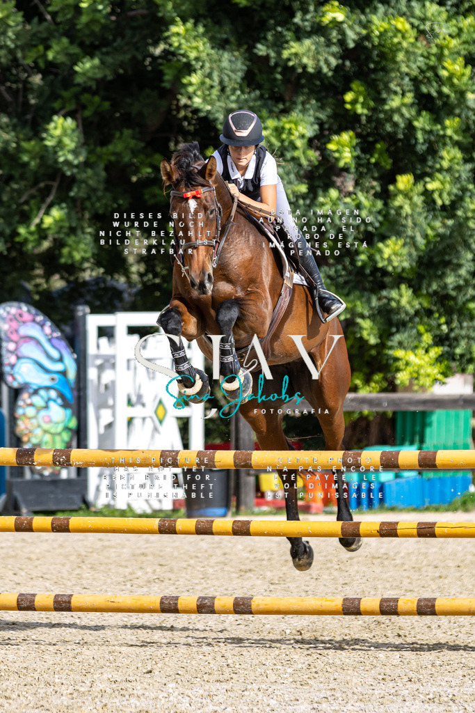 IMG_3210 | s-jay-photography - Realisiert mit Pictrs.com