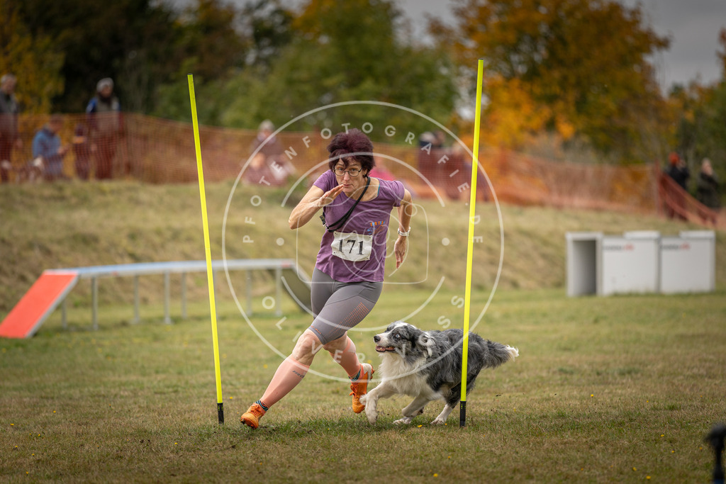 Pfotenfotografie_DV3A5965 | Hundefotografie, Tierfotograf, Pfotenfotografie, Fotoshooting Hund, Hunde Portrait, Hundesport, Hundeportraits, Heideshooting, Hunde, Sportfotograf, Hundefotograf, Turnierhundsport, THS,  - Realisiert mit Pictrs.com