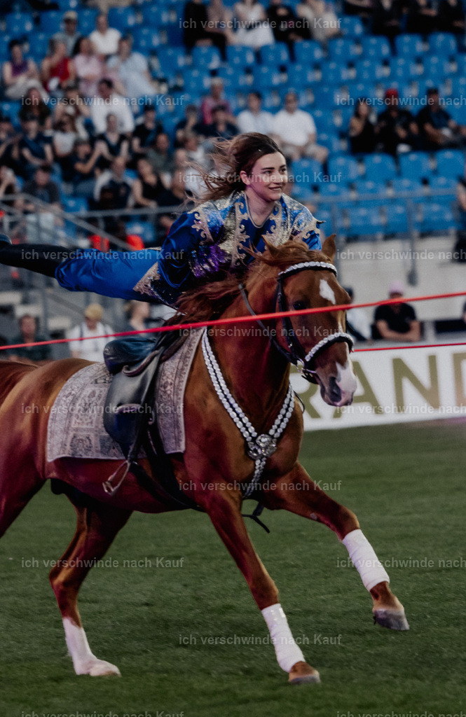 TSCHIO26_Pferd-Sinfonie_StoibphotographyTSCHIO26_Pferd-Sinfonie_Stoibphotography_AM11349.CR3.jpg | working equitationturnier fotograf videograf stoibphotography marixx film working equitation deutschland reitsport turnierfotografie eventfotografie equestrian events