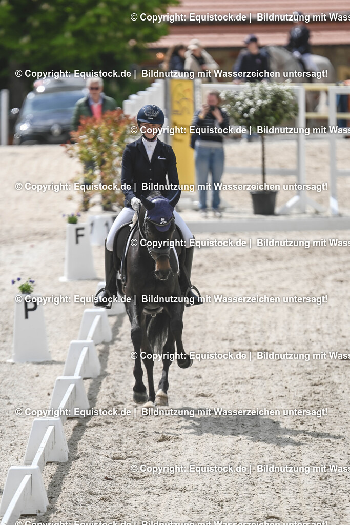 20250516_CCI2_Dressur_0465 | Foto: Thomas Hartig