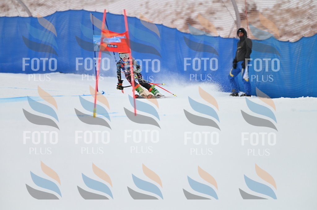 BGV_9769 | holidayphoto