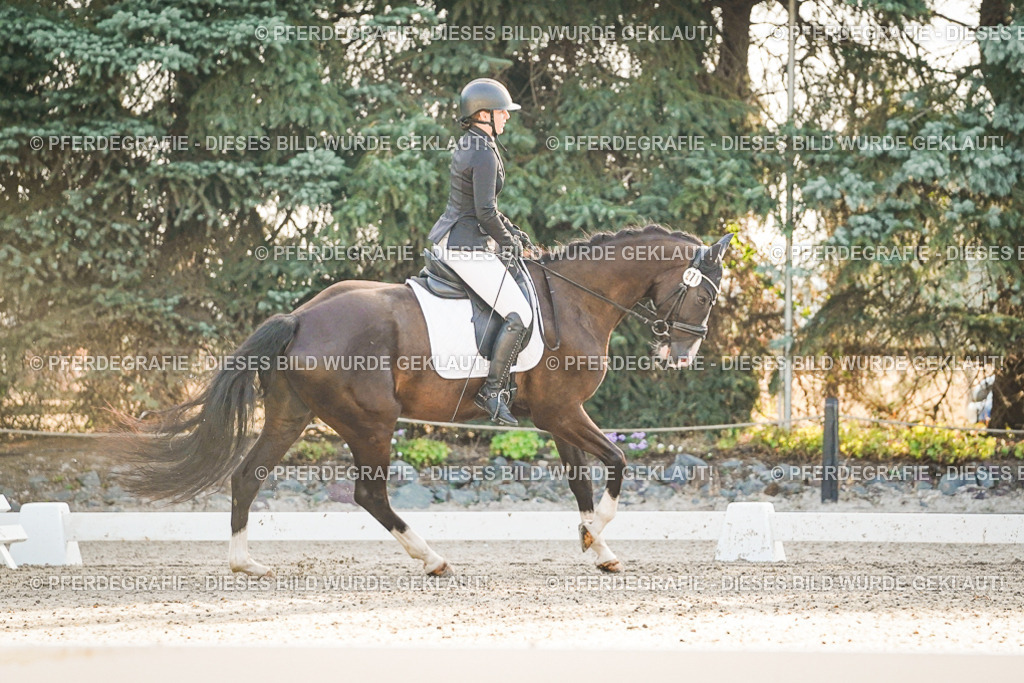 DSC07930 | Pferdegrafie